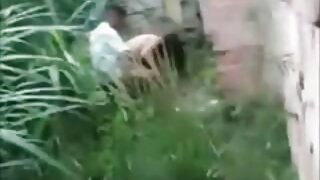 ಇಬ್ಬರು ಪೆಪ್ಪರಿಂಗ್ ಲೆ ...
