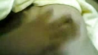 ಕೊಂಬಿನ ಹಬ್ಬಿ ಪ್ಯಾಂಟಿ ...